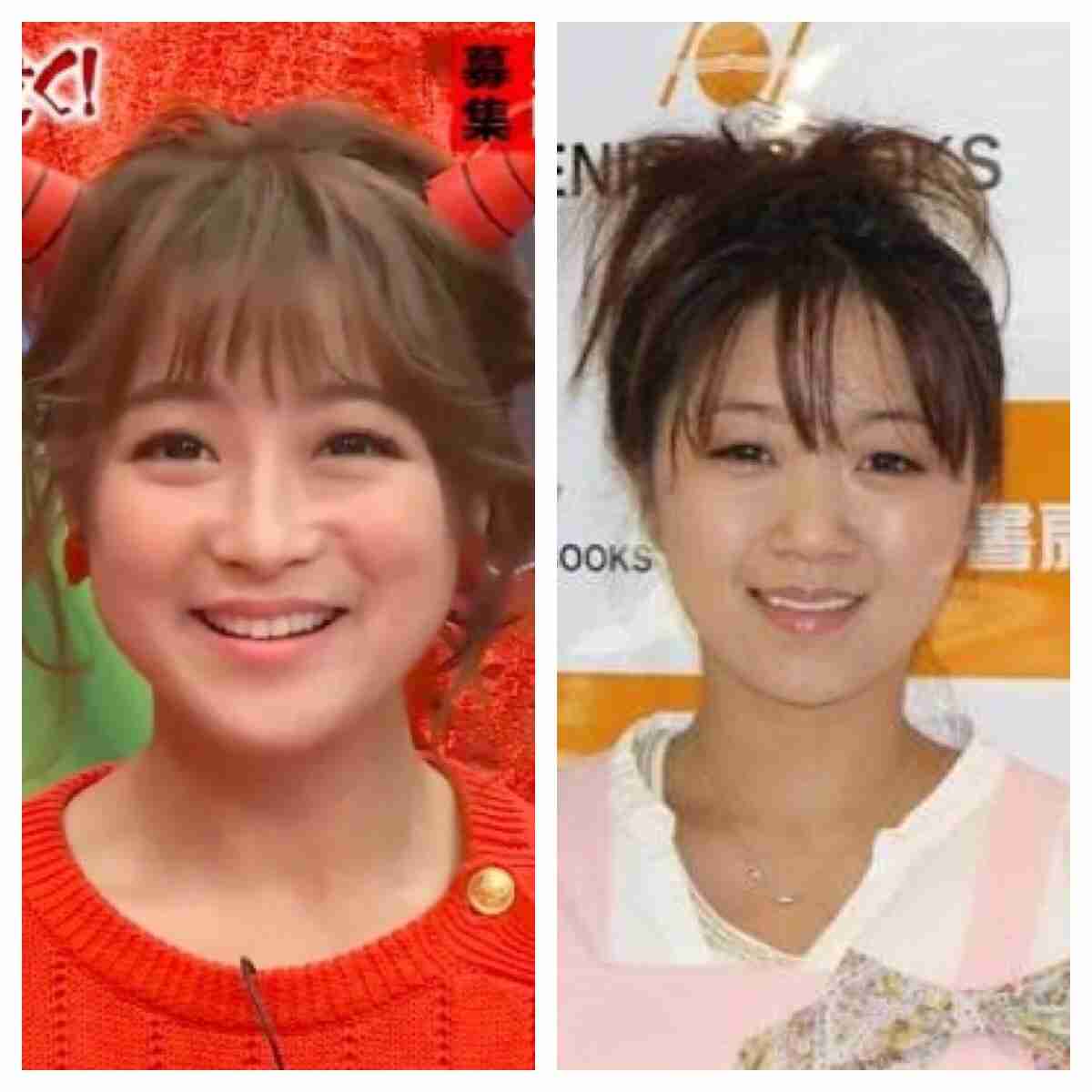 同じ系統の顔の芸能人