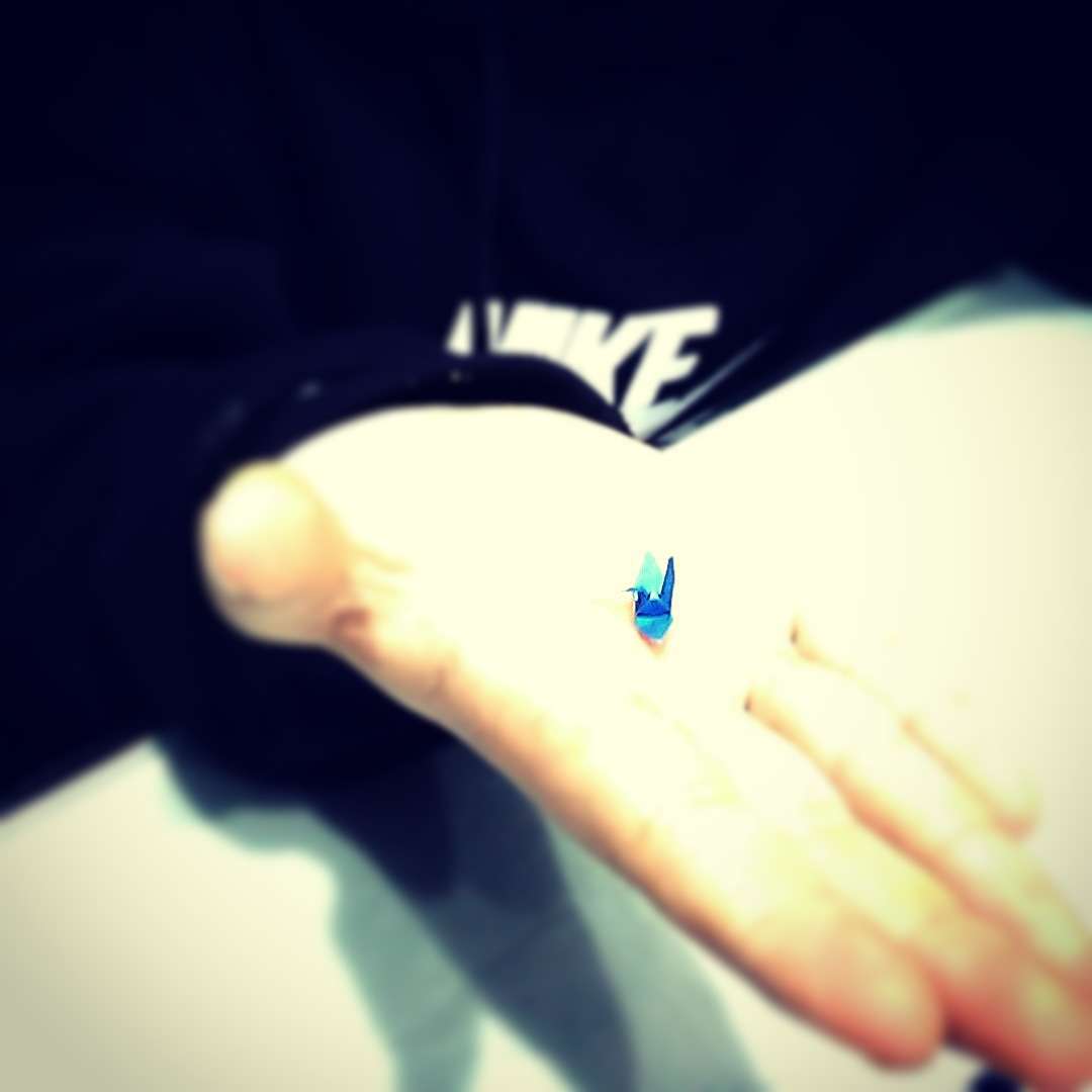 関係ない画像で母に感謝を言うトピ