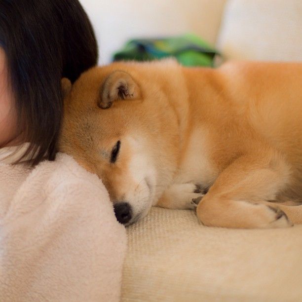 関係ない画像で母に感謝を言うトピ