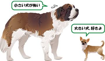 犬が立てそうなトピPart2