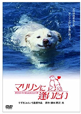 犬が立てそうなトピPart2