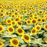 引き寄せの法則について語ろう