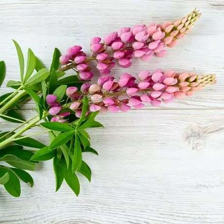 引き寄せの法則について語ろう