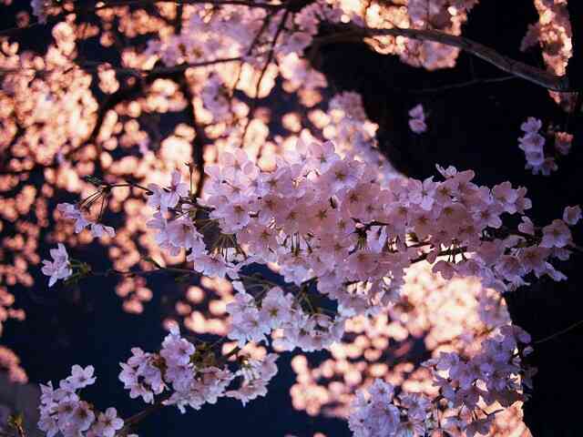 引き寄せの法則について語ろう