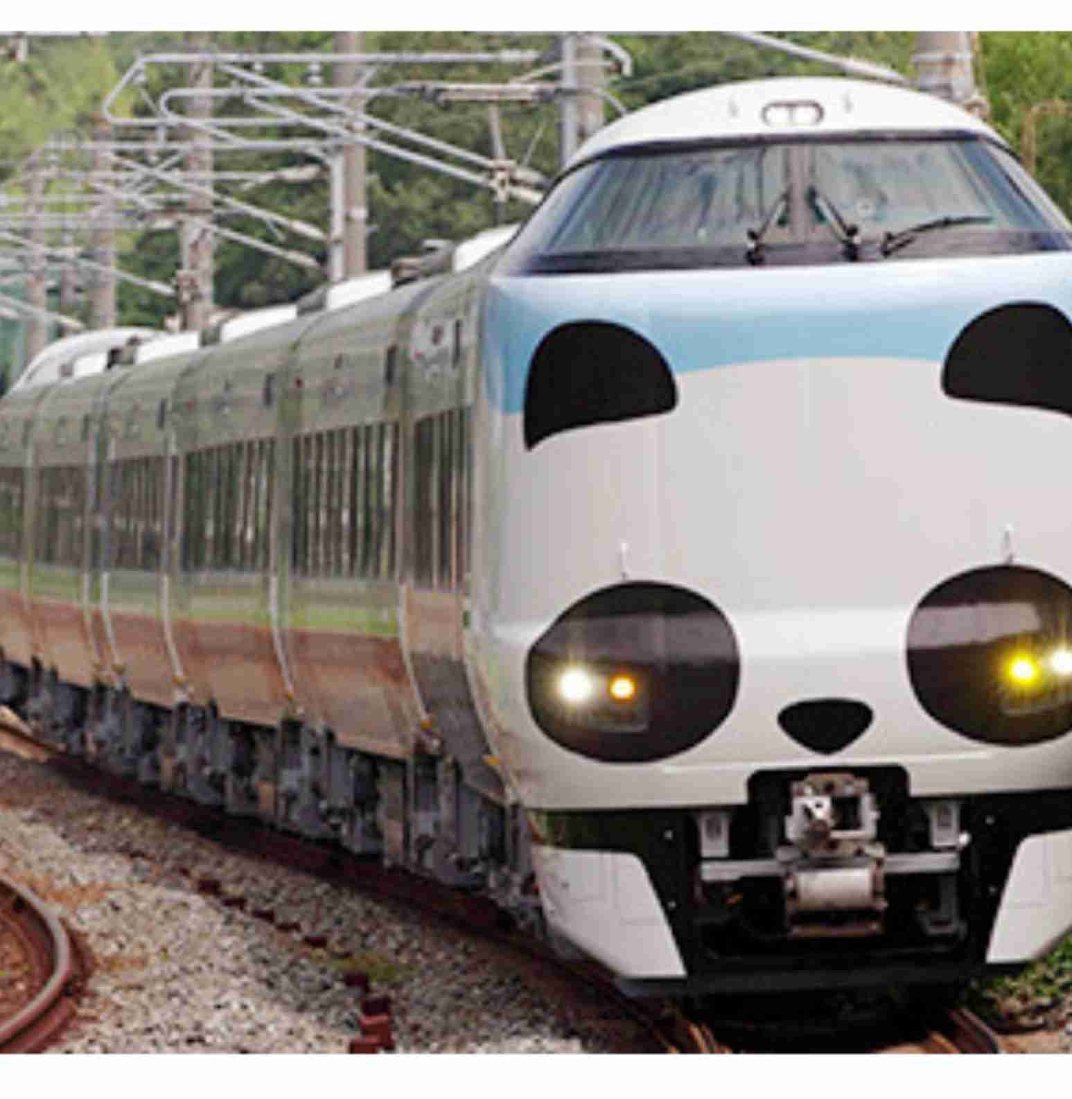 シャンシャンで注目の上野で「パンダバス」無料運行中！ 外見も車内もまるっとパンダモチーフ