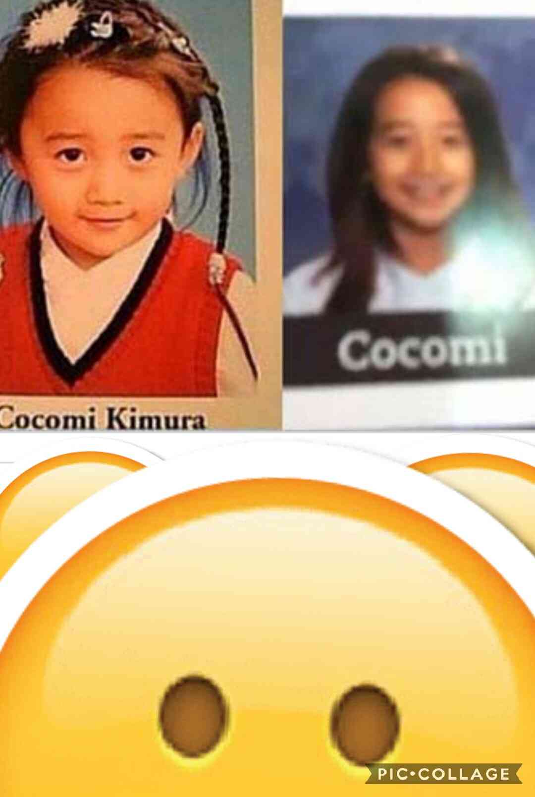 美男美女だと思う二世芸能人