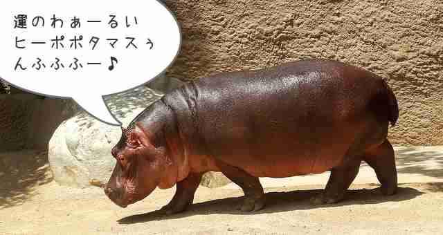 センチメンタルな気持ちになる曲教えてください