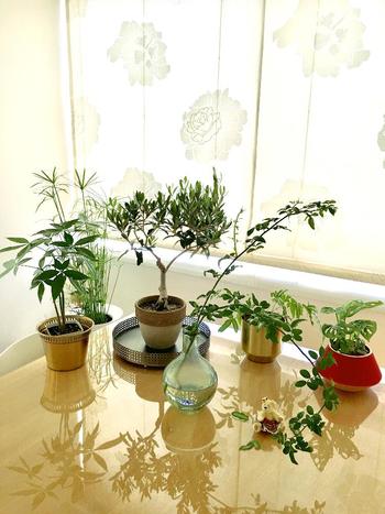 自分の部屋にあるものにプラスPart2
