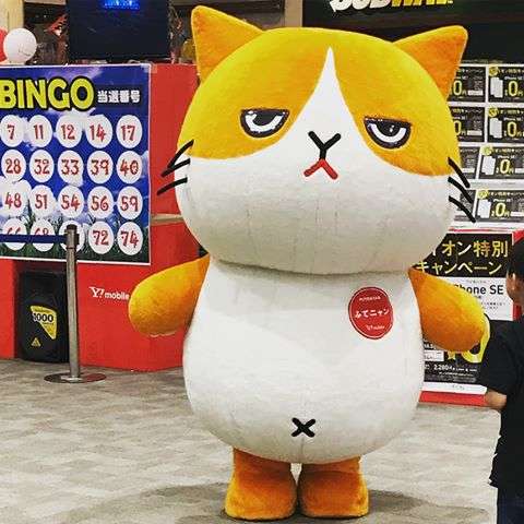 色々な着ぐるみに癒されたい