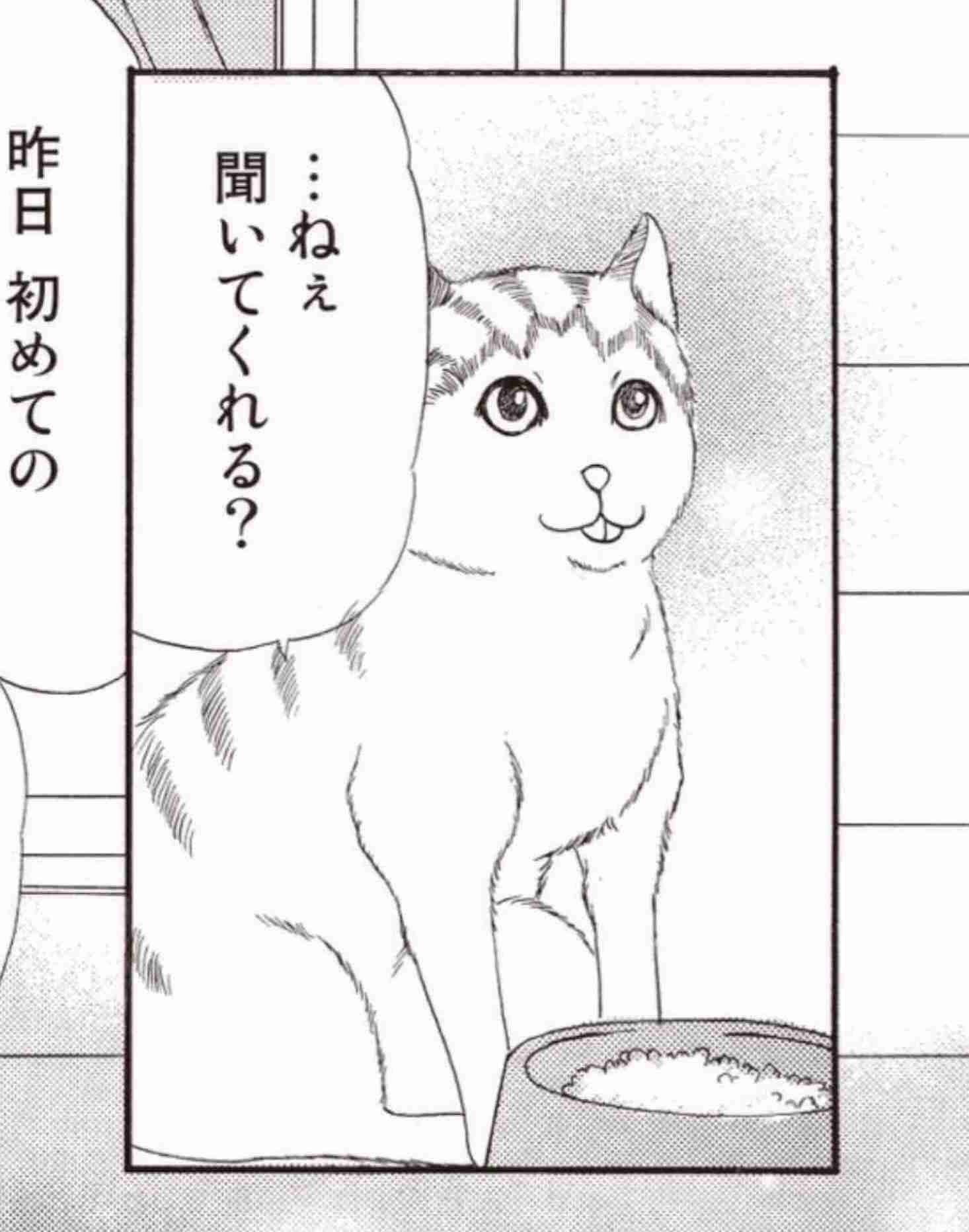 一度でいいからトピ画になったとこ見てみたい画像貼り付けよう