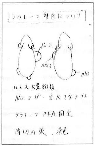 小保方晴子さん 文春グラビア登場に騒然「屈強メンタル」「雰囲気違う」