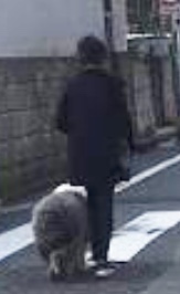 コウキ インスタフォロワー50万人突破!わずか2日で母・工藤静香超え