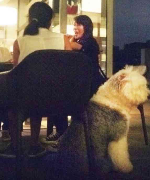 コウキ インスタフォロワー50万人突破!わずか2日で母・工藤静香超え