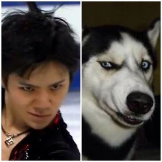 【フィギュアスケート】宇野昌磨選手ファントピPart4