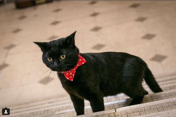 【フィギュアスケート】宇野昌磨選手ファントピPart4