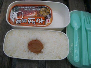 作るのが面倒くさい日の手抜き弁当を教えて!