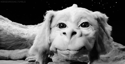 映画で可愛いと思ったキャラクター