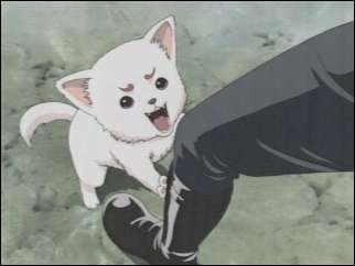飼ってみたい！アニメのペットキャラランキング