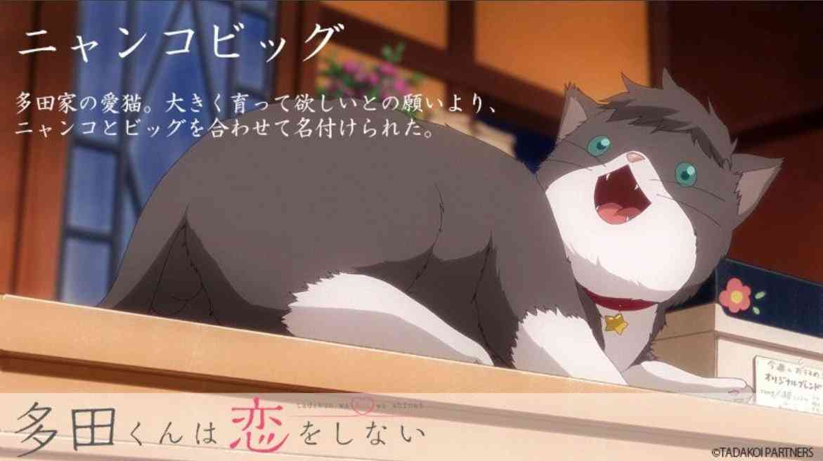 飼ってみたい！アニメのペットキャラランキング