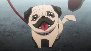 飼ってみたい！アニメのペットキャラランキング