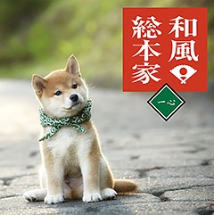 ガルちゃん視聴率調査 この番組見てる?見てない?