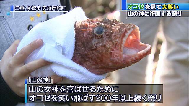 ちょっと気の毒な画像を貼るトピ