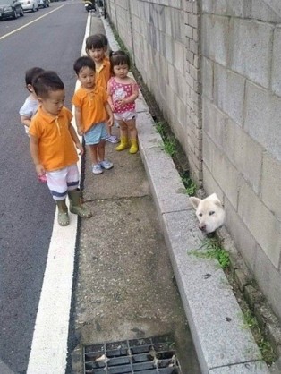 ちょっと気の毒な画像を貼るトピ