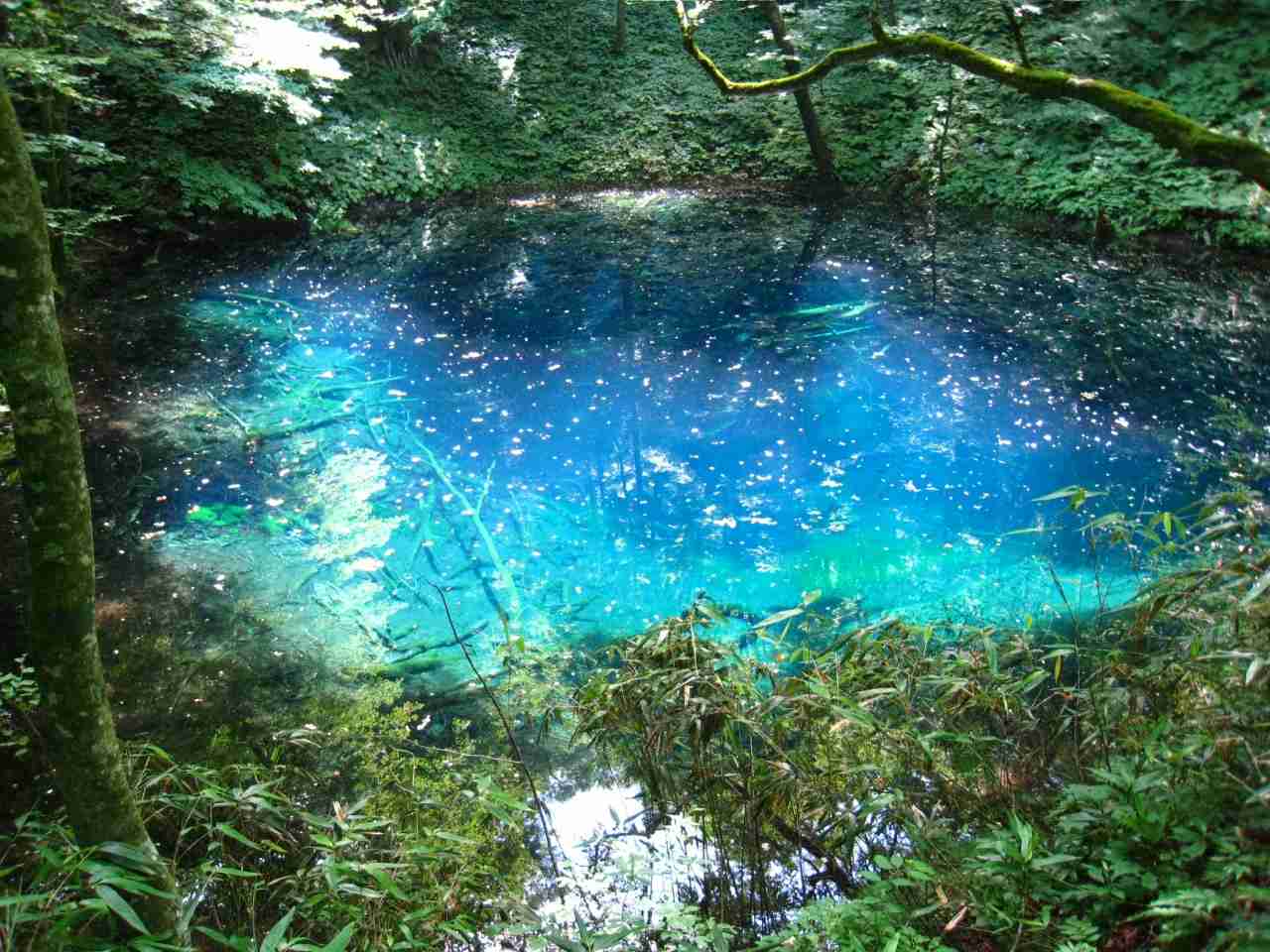 【画像】海とか川とか、水の流れが好きな方！！【癒し】
