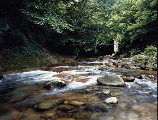 【画像】海とか川とか、水の流れが好きな方！！【癒し】