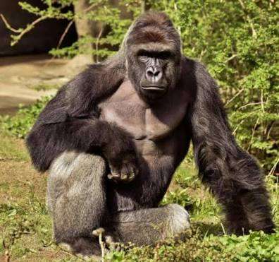 イケメンすぎて思わず保存した画像 Part2