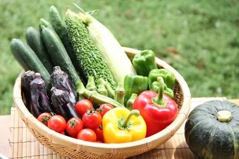 夏の野菜や果物を語ろう♪