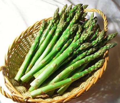 夏の野菜や果物を語ろう♪