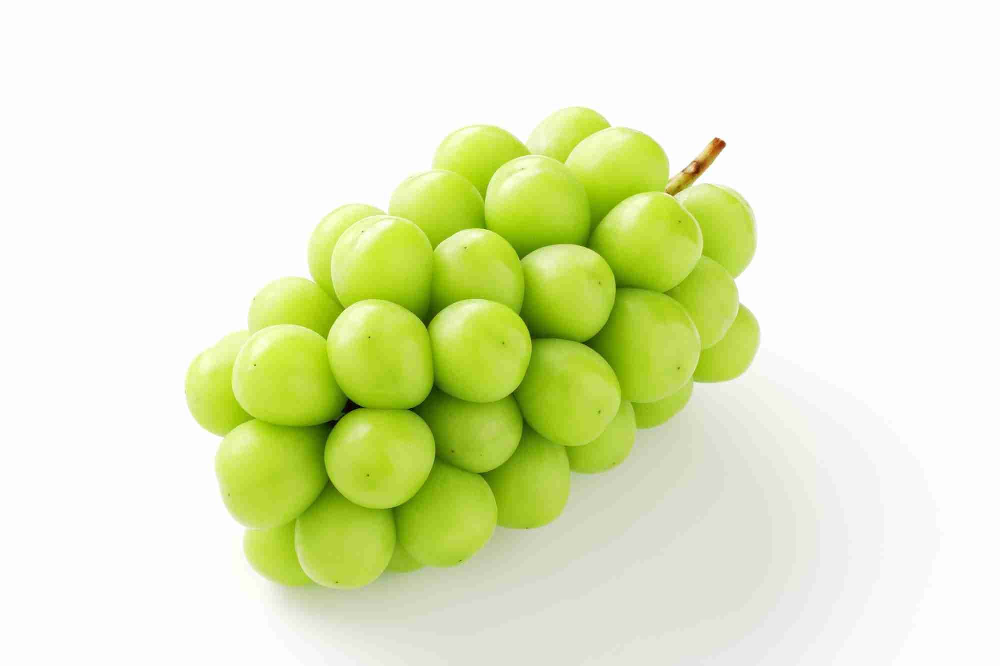 夏の野菜や果物を語ろう♪