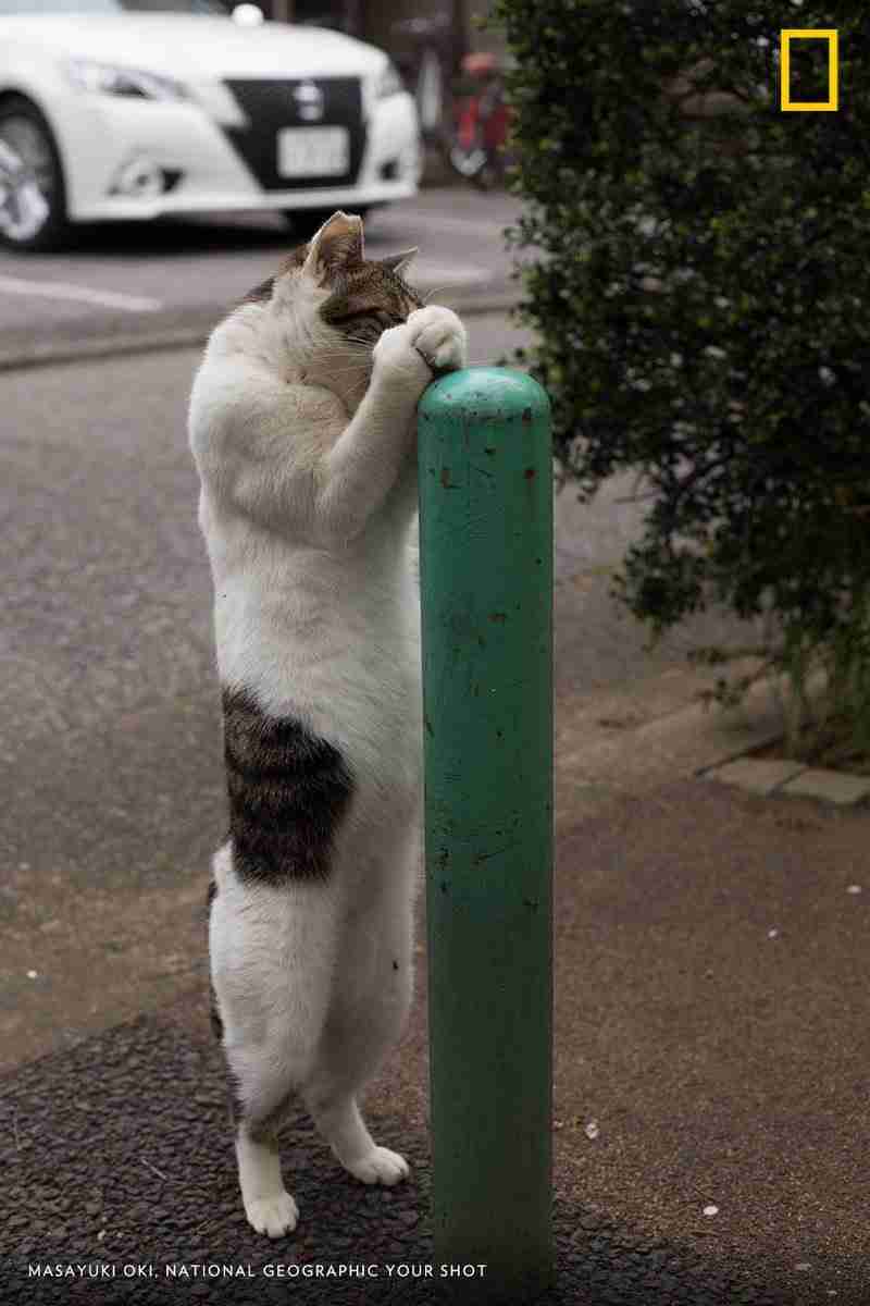 画像を貼ると誰かがトピタイを考えてくれるトピ