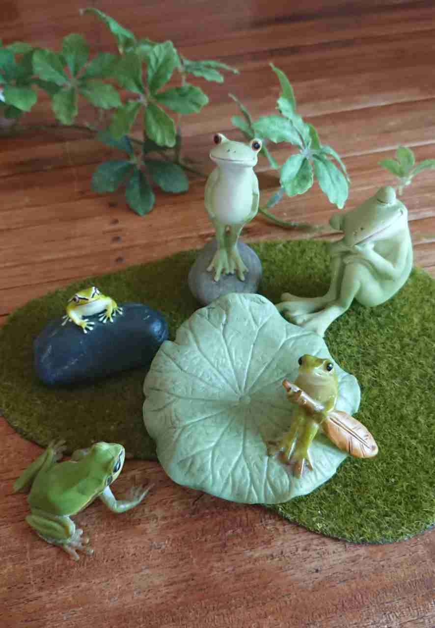 【梅雨】いろんなカエルの画像を貼るトピ
