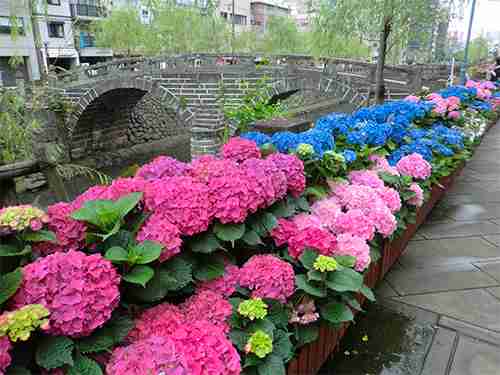 九州民集まれ～！