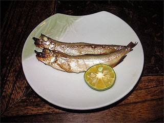 子ナシ夫婦の休日