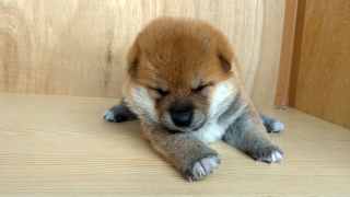 今これやったら儲かるだろうなと思うこと