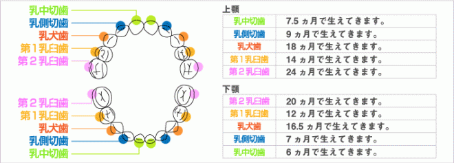 1歳児の母が語るトピ Part11