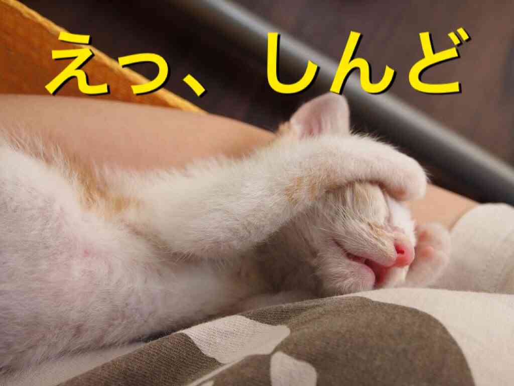 【実況・感想】おっさんずラブ 最終回