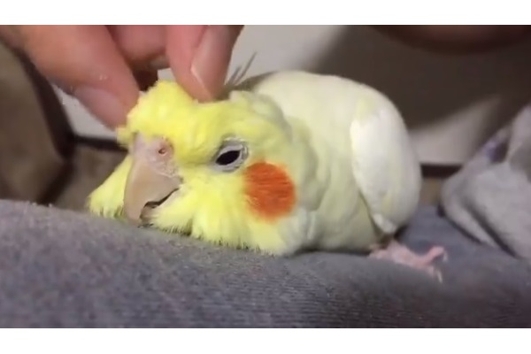 八つ当たりされやすい人