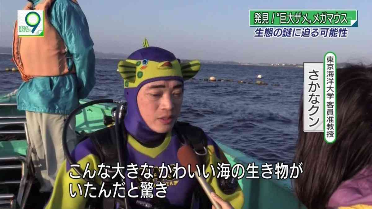 『さかなクン』を語ろう