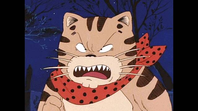 目つきの悪い猫を貼るトピ