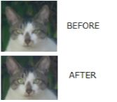 目つきの悪い猫を貼るトピ