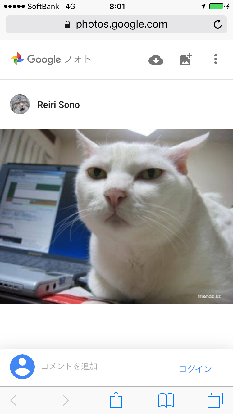 目つきの悪い猫を貼るトピ
