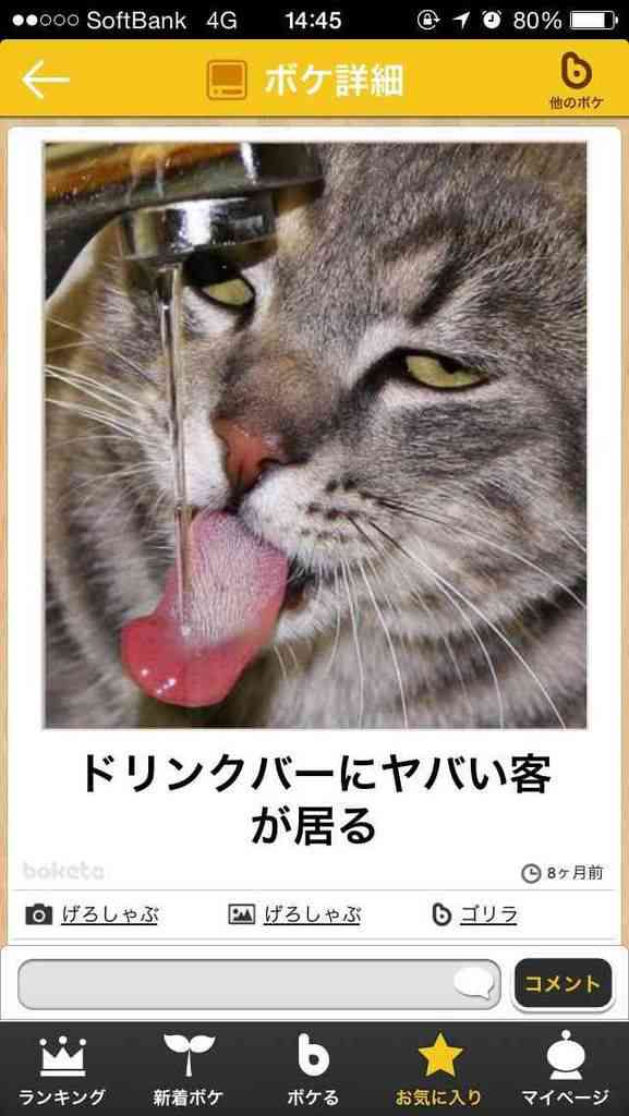 目つきの悪い猫を貼るトピ