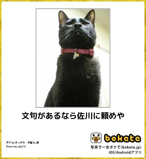 目つきの悪い猫を貼るトピ