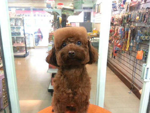 自分と同じ人を探すトピ