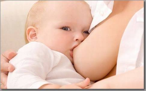 自宅での授乳は誰までなら見せられますか？