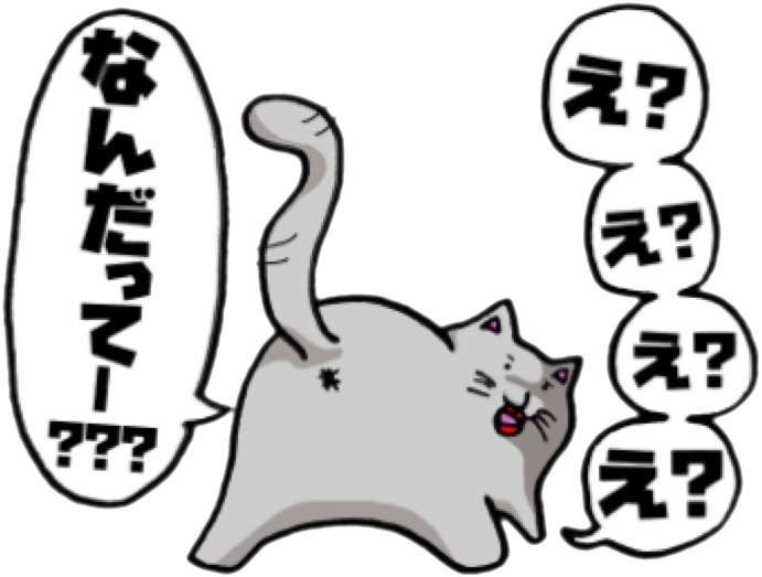staubを愛用してますか?